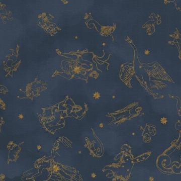 Fototapet lavabil, Constellations 9561W - Img 2