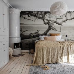 Fototapet, Lazy Lion, Rebel Walls