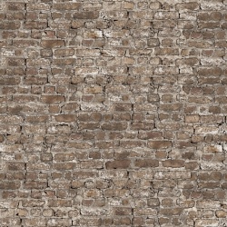 Fototapet, Leiria, Sand, Rebel Walls - Img 2