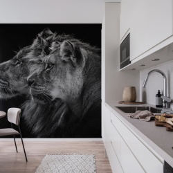 Fototapet, Lion Duo, Rebel Walls