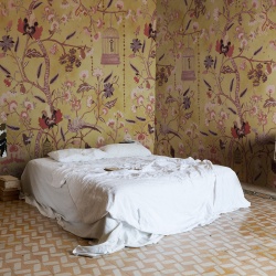 Fototapet, Mystic Garden, Yellow, Rebel Walls