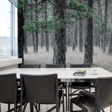 Fototapet, Pine Forest, Rebel Walls - Img 3