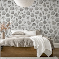 Fototapet, Seashells, Clay, Rebel Walls - Img 4