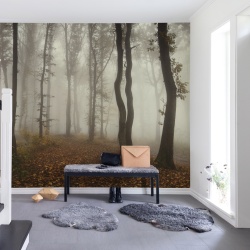 Fototapet, Timberland, Rebel Walls - Img 6