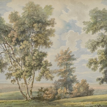 Fototapet, Tree on the Hill, Vintage, Rebel Walls - Img 2