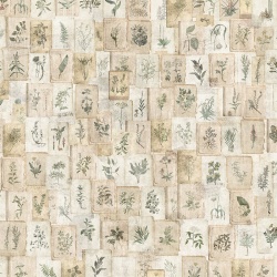 Fototapet Vintage Herbarium, VLAdiLA - Img 2