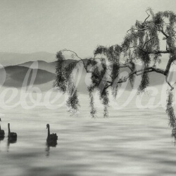 Fototapet, Zen Lake, Rebel Walls - Img 2