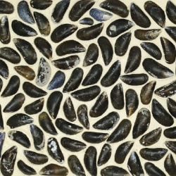 Panou decorativ 3D, Scoici, Dutch Dyke White, 100x100 cm