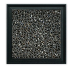 Panou decorativ lemn, Scoici, My Dutch Dyke Black