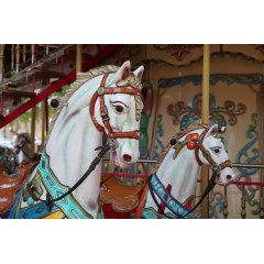 Tapet Carousel, Rebel Walls - Img 2