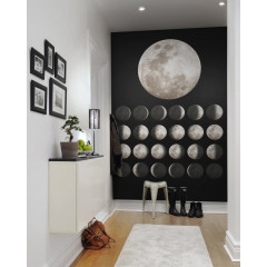 Tapet Moon, Rebel Walls - Img 1