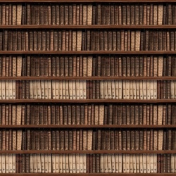 Fototapet, Antique Books, Rebel Walls - Img 2