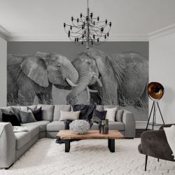 Fototapet, Elephant Hug, Rebel Walls - Img 3