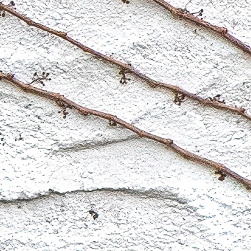 Fototapet, Fade Away, Rebel Walls - Img 3