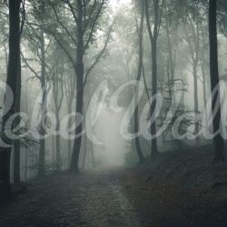 Fototapet, Forest in Fog, Rebel Walls - Img 2
