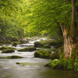 Fototapet, Gentle Flow, Rebel Walls - Img 2