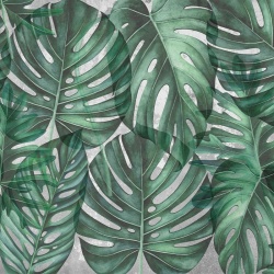 Fototapet Green Philodendron, VLAdiLA - Img 2
