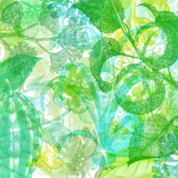 Fototapet, Jelly Belly Plants, Green, Rebel Walls - Img 2