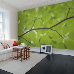 Fototapet, Leaves, Rebel Walls