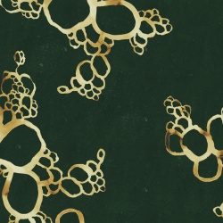 Fototapet, Lightning Clownfish, Green, Rebel Walls - Img 2
