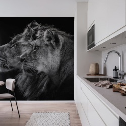 Fototapet, Lion Duo, Rebel Walls