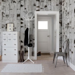 Fototapet, Metal Birch, Rebel Walls