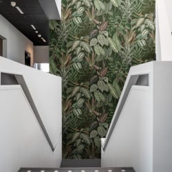 Fototapet, Mischievous Monkeys, Lush, Rebel Walls - Img 8