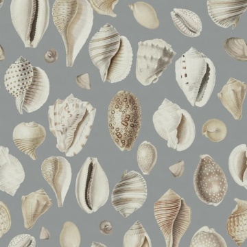 Fototapet, Ocean Shells, Blue, Rebel Walls - Img 2