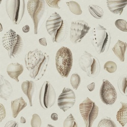 Fototapet, Ocean Shells, Sand, Rebel Walls - Img 2
