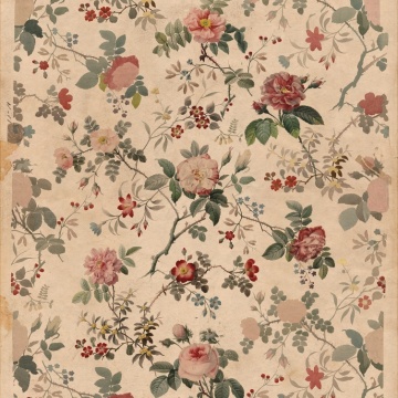 Fototapet, Rosegarden, Rebel Walls - Img 2