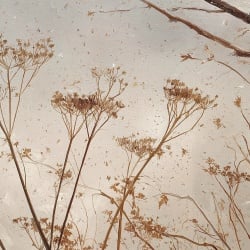 Fototapet Rustic Tendance Glane Rêve TG200