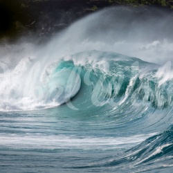 Fototapet, Single Wave, Rebel Walls - Img 5