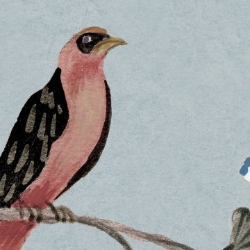 Fototapet, Songbird Mural, Blue, Rebel Walls - Img 4