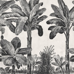 Fototapet, Timeless Tropics, Black & White, Rebel Walls - Img 2