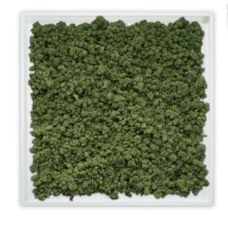 Panou decorativ , Muschi, My Torvtak Moss Green