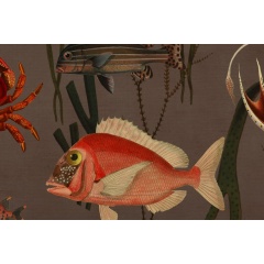 Tapet Aquatic Life, Coral, Rebel Walls - Img 4