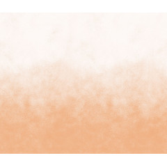 Tapet Ash Gradient, Peach Fuzz, Rebel Walls - Img 2