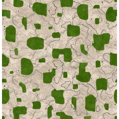 Tapet lavabil Map Xylography, Green, TresTintas 5mp / rola - Img 2