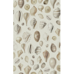 Tapet Ocean Shells, Sand, Rebel Walls - Img 2
