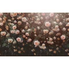 Tapet Regal Rose, Apricot, Rebel Walls - Img 2