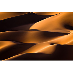 Tapet Sahara, Rebel Walls - Img 2