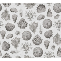 Tapet Seashells, Clay, Rebel Walls - Img 2