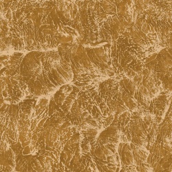 Tapet, Sepia, Curry, Coordonne, 5mp / rola - Img 2