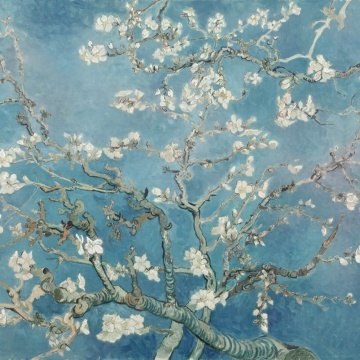 Fototapet, Almond Blossom by Van Gogh, Rebel Walls - Img 2