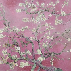 Fototapet, Almond Blossom, Pink, Rebel Walls - Img 2