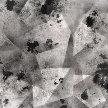 Fototapet, Ash, Graphite, Rebel Walls - Img 2