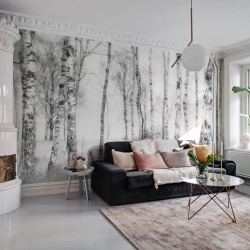 Fototapet, Birch Trees, Rebel Walls - Img 3