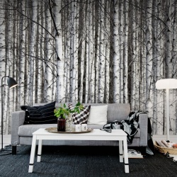 Fototapet, Birch Trunks, Rebel Walls - Img 3