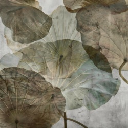 Fototapet Botanic Desire Desir Rêve DF200