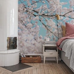 Fototapet, Cherry Tree, Rebel Walls